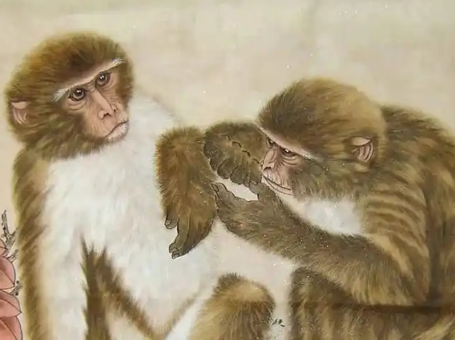 1968年属猴人命运全景解读:把握三大黄金年运,智慧应对人生挑战 1968年属猴人命运全景解读:把握三大黄金年运,智慧应对人生挑战