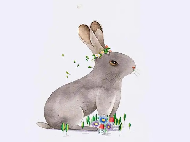 属兔走大运年份——羊年、狗年、猪年、鸡年、兔年 属兔走大运年份——羊年、狗年、猪年、鸡年、兔年